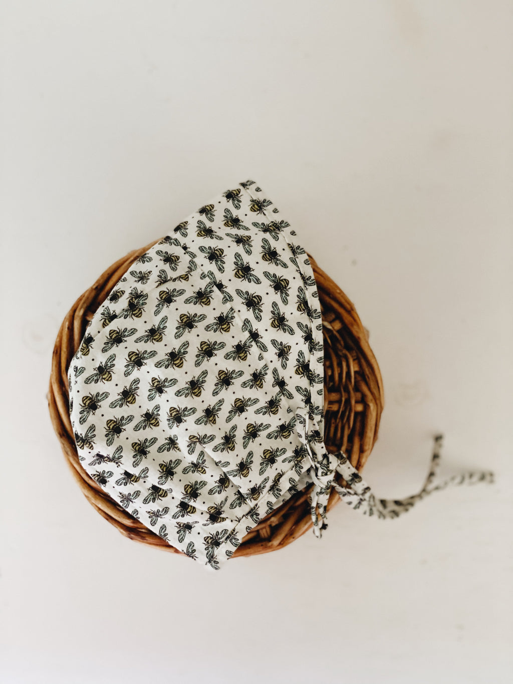 Brimmed Bee